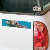 Hawaii Groene Zeeen Schildpad - Honu Bumpersticker (Op Truck)
