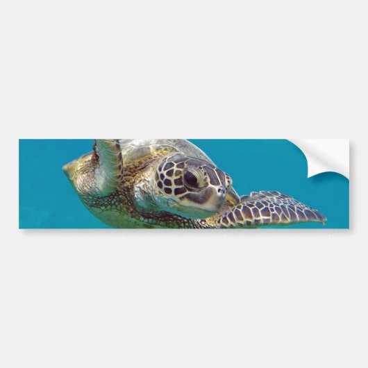Hawaii Groene Zeeen Schildpad - Honu Bumpersticker (Voorkant)