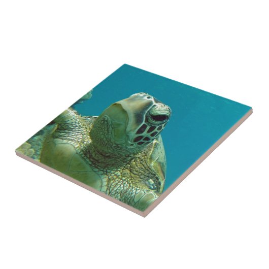 Hawaii Groene Zeeen Schildpad - Honu Tegeltje (Zijkant)
