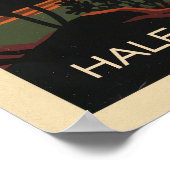 Hawaii Haleakala National Park V02 Poster (Hoek)