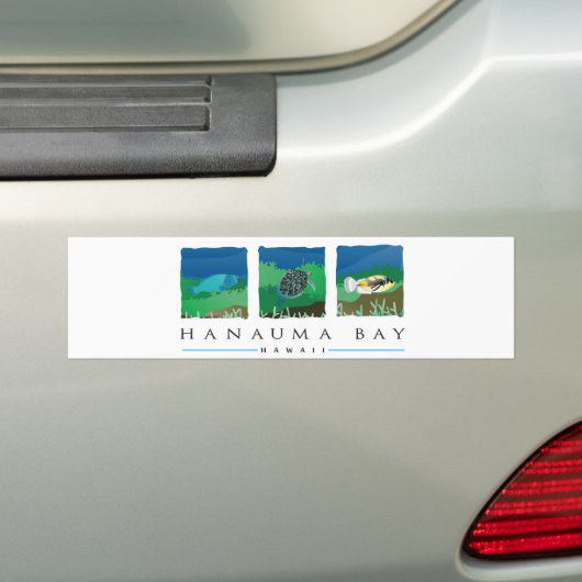 Hawaii Hanauma Bay Bumpersticker (Op auto)