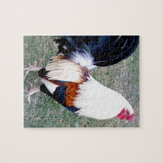 Hawaii Hanauma Bay Haan Legpuzzel (Horizontaal)