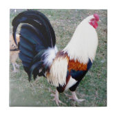 Hawaii Hanauma Bay Haan Tegeltje (Voorkant)