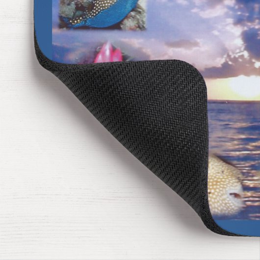 Hawaii Hanauma Bay Marine Life Muismat (Hoek)