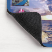 Hawaii Hanauma Bay Marine Life Muismat (Hoek)