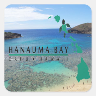 Hawaii Hanauma Bay Oahu Turtle Vierkante Sticker