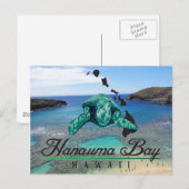 Hawaii Hanauma Bay Turtle - Honu Briefkaart (Voorkant / Achterkant)