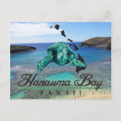Hawaii Hanauma Bay Turtle - Honu Briefkaart (Voorkant)