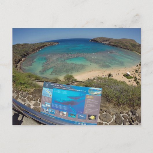Hawaii Hanauma Bay Volcano Briefkaart (Voorkant)