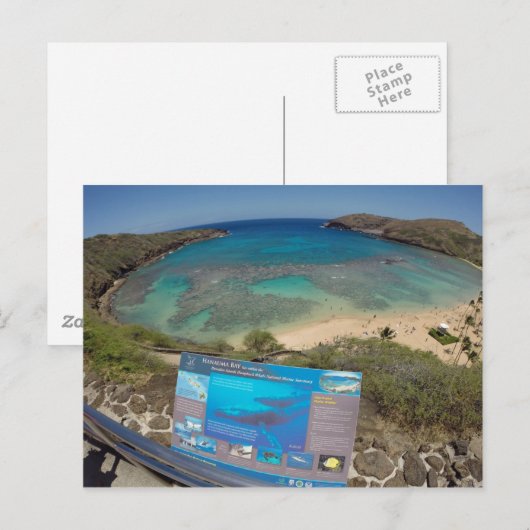 Hawaii Hanauma Bay Volcano Briefkaart (Voorkant / Achterkant)