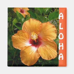 Hawaii Hibiscus Aloha Magneet