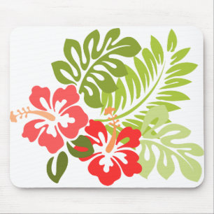 Hawaii Hibiscus Flora Floral Flowers Blossom Muismat