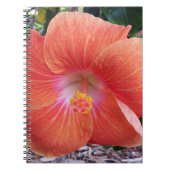 Hawaii Hibiscus Flowers Notitieboek (Voorkant)