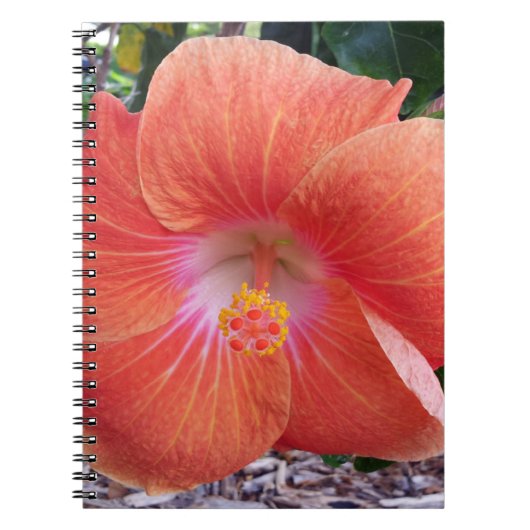 Hawaii Hibiscus Flowers Notitieboek (Voorkant)