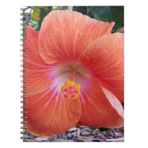 Hawaii Hibiscus Flowers Notitieboek