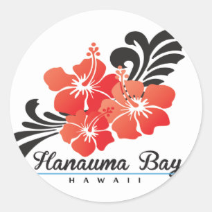 Hawaii Hibiscus Flowers Ronde Sticker
