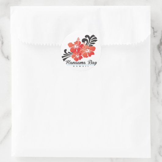 Hawaii Hibiscus Flowers Ronde Sticker (Tas)