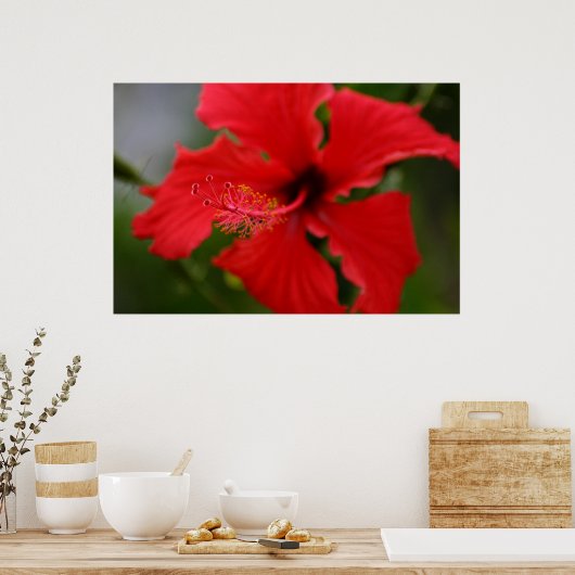 Hawaii Hibiscus Poster (Keuken)
