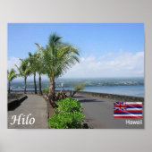 Hawaii - Hilo - Poster (Voorkant)