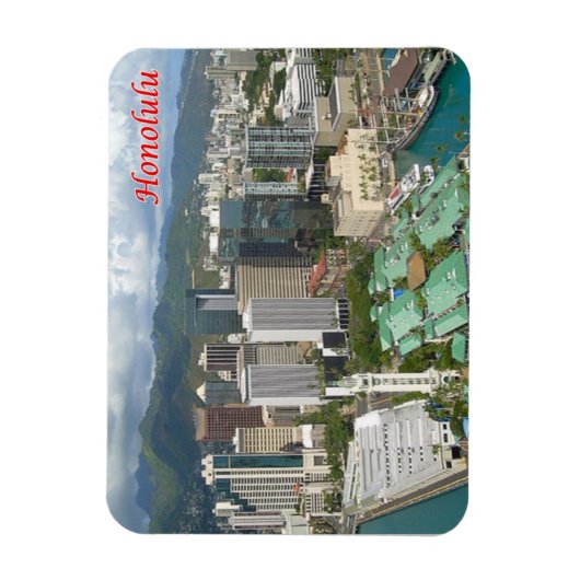 Hawaii - Honolulu - Magneet (Verticaal)