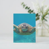 Hawaii Honu Briefkaart (Staand voorkant)