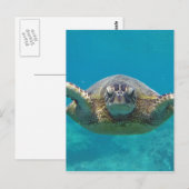 Hawaii Honu Briefkaart (Voorkant / Achterkant)