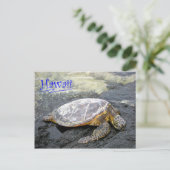 Hawaii - Honu Briefkaart (Staand voorkant)