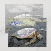 Hawaii - Honu Briefkaart (Voorkant / Achterkant)