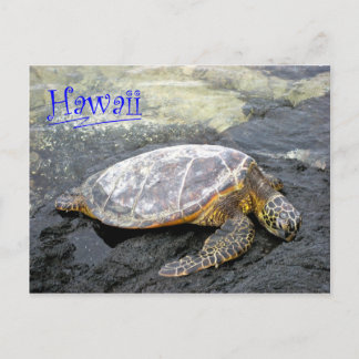 Hawaii - Honu Briefkaart