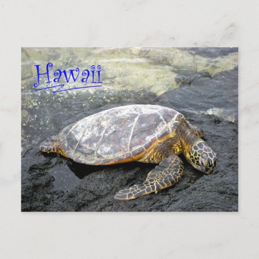 Hawaii - Honu Briefkaart (Voorkant)
