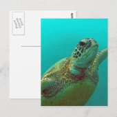 Hawaii Honu Briefkaart (Voorkant / Achterkant)