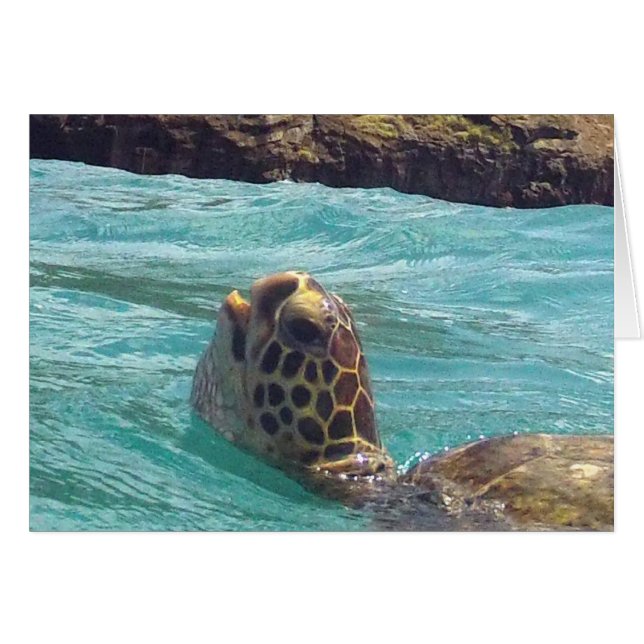 Hawaii Honu Turtle (Voorkant Horizontaal)