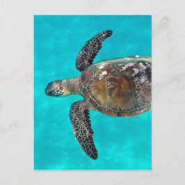 Hawaii Honu Turtle Briefkaart