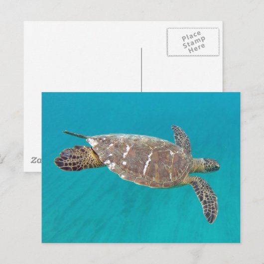 Hawaii Honu Turtle Briefkaart (Voorkant / Achterkant)