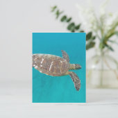 Hawaii Honu Turtle Briefkaart (Staand voorkant)