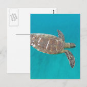 Hawaii Honu Turtle Briefkaart (Voorkant / Achterkant)
