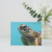 Hawaii Honu Turtle Briefkaart (Staand voorkant)