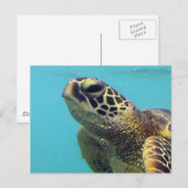 Hawaii Honu Turtle Briefkaart (Voorkant / Achterkant)