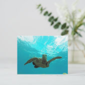 Hawaii Honu Turtle Briefkaart (Staand voorkant)