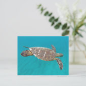 Hawaii Honu Turtle Briefkaart (Staand voorkant)