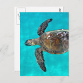 Hawaii Honu Turtle Briefkaart (Voorkant / Achterkant)