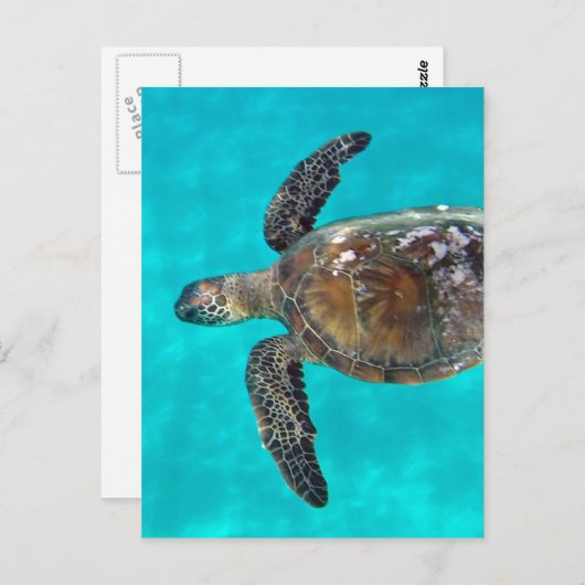 Hawaii Honu Turtle Briefkaart (Voorkant / Achterkant)