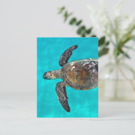 Hawaii Honu Turtle Briefkaart (Staand voorkant)