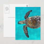 Hawaii Honu Turtle Briefkaart (Voorkant / Achterkant)