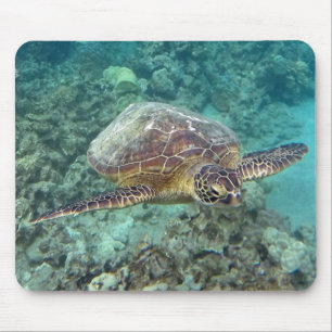 Hawaii Honu Turtle Muismat