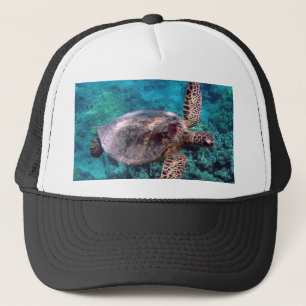 Hawaii Honu Turtle Pet