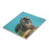 Hawaii Honu Turtle Tegeltje (Zijkant)