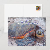 Hawaii honu zee schildpad close-up foto Relax quot Briefkaart (Voorkant / Achterkant)