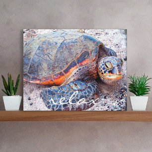 Hawaii Honu Zeeschildpad Strand Close-up Foto Onts Canvas Afdruk