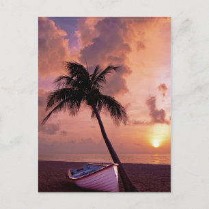 Hawaii Island Travel Beach Sunset Palm Tree Boat Briefkaart